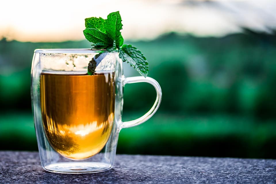 Chá de hortelã romana indicado para tratar artrite e artrose